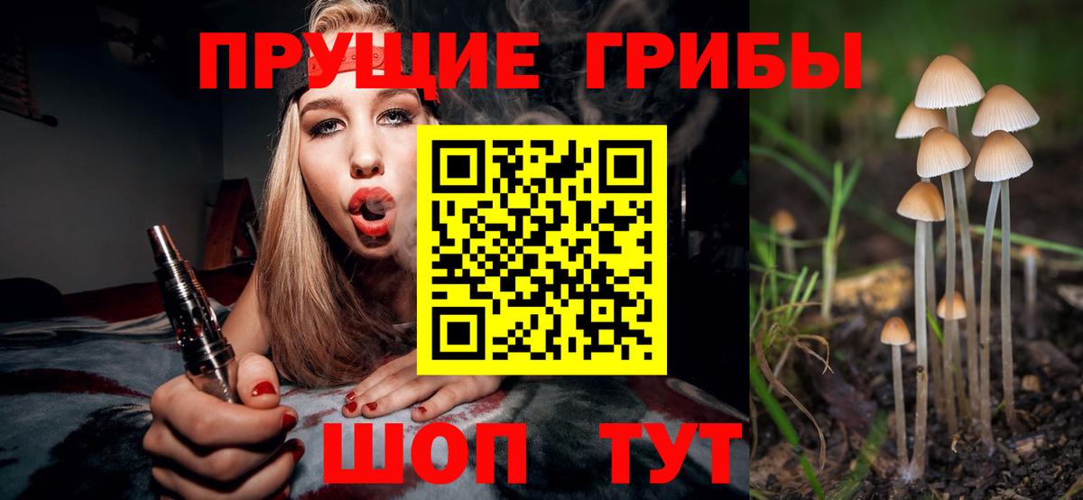 Чехов  Псилоцибиновые грибы GOLDEN TEACHER  Вход с VPN 